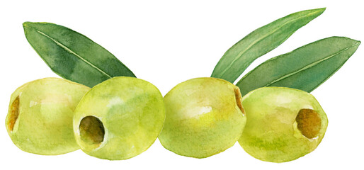グリーンオリーブと葉　水彩イラスト