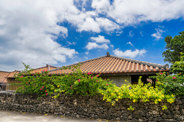 沖縄-【竹富島－竹富島の風景】