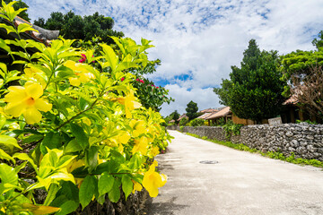 沖縄-【竹富島－竹富島の風景】