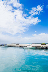 沖縄-【竹富島－竹富島の風景】