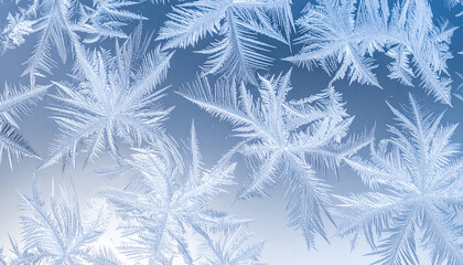 Detailed frost patterns form intricate crystalline structures on a window.