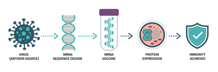 mRNA vaccine mechanism banner in medical vector banner
