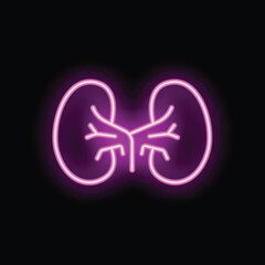 Bright pink neon sign depicting a pair of human kidneys glowing on a black background