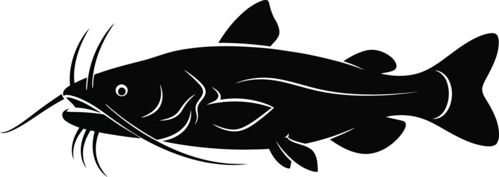 Silhouette of a catfish a popular freshwater game fish with long whiskers detailed and striking flat design vector illustration isolated on transparent background