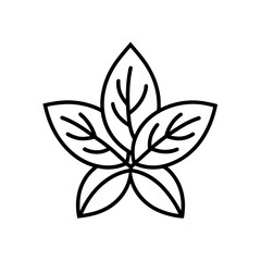 Stylized outline drawing of five leaves arranged on transparent background
