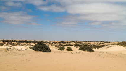 Ein Nachmittag im Namib-Naukluft-Nationalpark