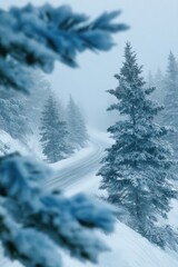 Snow-covered road winds through a serene winter forest landscape