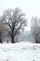Snowy winter landscape with bare trees in a tranquil outdoor setting