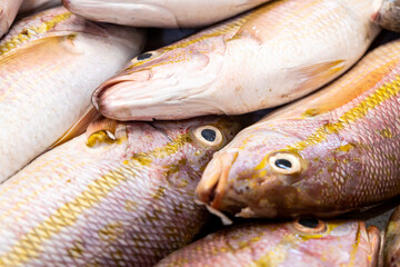 Fresh fish on Market Display. Close-up Seafood Texture.