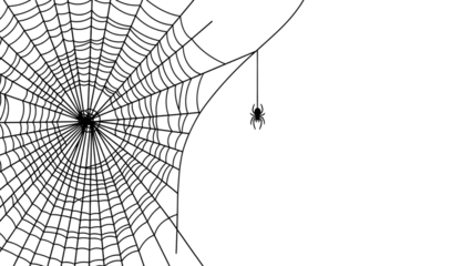 Spider web with a hanging spider vector illustration in minimalist style isolated on white background