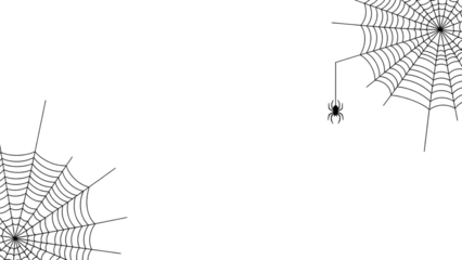 Spider web vector illustration simple flat design element isolated on white background for Halloween decoration