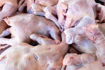 Raw Whole Chickens Piled Together in Market Display.