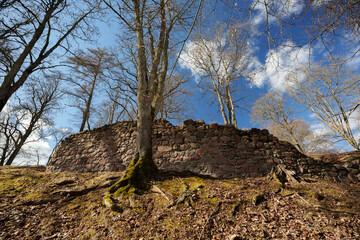 Ruins of a Medieval Stone Wall with Bare Trees and Sunburst