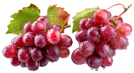 two bunches of red grapes, with leaves and water droplets, isolated on a Transparent background PNG