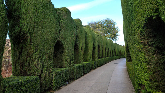 Granada, Spain - 21 Oct, 2025: Beautiful gardens in the Palacio del Generalife, Alhambra, Granada