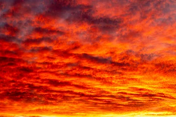 Keuken spatwand met foto Rood Fiery sunset paints dramatic sky with orange and red clouds over calm horizon  © Nataliia