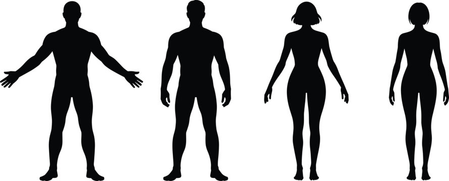 Human silhouette icons, male and female figures, anatomical shapes, black body outlines, gender comparison graphics, minimal design, vector people set