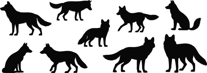 Wolf silhouettes, canine poses, black shapes, standing wolf, sitting posture, walking stance, animal icons, nature grid, behavior study, wild anatomy, predator reference