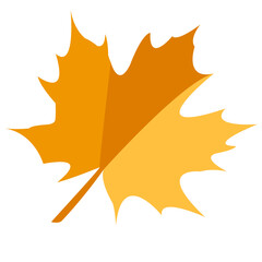 Feuille