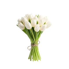 Bouquet of White Tulips Tied with String Isolated on White or Transparent Background