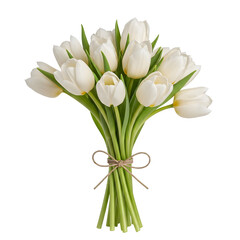 Bouquet of White Tulips Tied with String Isolated on White or Transparent Background