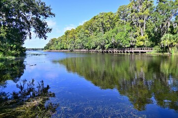 A quiet inlet on Beautiful Lake Tarpon shows reflections of the forest