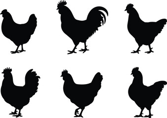 Chicken silhouette set, poultry poses, hen and rooster shapes, farm animal illustration, feather anatomy, black figure collection, isolated white background