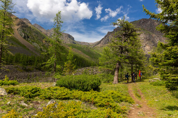 Obraz premium A group of tourists rest in the shade under a tree during a mountain hike