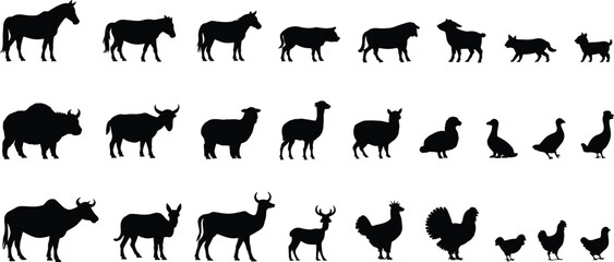Domesticated animal silhouettes, farm species icons, black livestock graphics, poultry and mammal shapes, nature symbols, minimal design, vector set