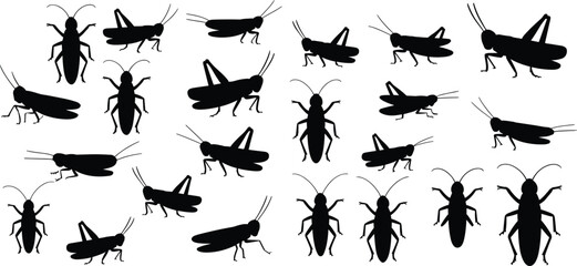 Grasshopper silhouette collection, insect vector set, black shapes, jumping crawling flying poses, nature icon pack, entomology illustration, wildlife bug design