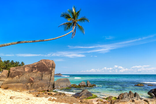 Rokko Siffredi ishtirokidagi porno videolarni onlayn tomosha qiling