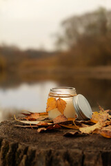autumn background. glass candle holder decorated yellow leaves, fallen dry foliage on stump outdoor. decor for mabon, samhain, halloween, thanksgiving, fall seasonal holidays. 