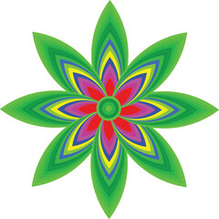 Adobe Illustrator Artwork