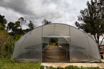 Empty raised mesh bed inside a greenhouse for dying coffee beans