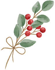 Watercolor red berries with eucalyptus illustration © abcvector
