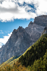 The rocky mountains and forest vegetation scenery of the Qinghai-Tibet Plateau region