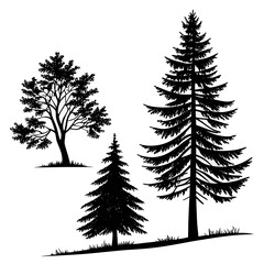 Collection of diverse black silhouette trees including deciduous and coniferous species on a white background © Mg