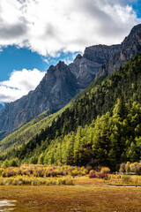 The rocky mountains and forest vegetation scenery of the Qinghai-Tibet Plateau region