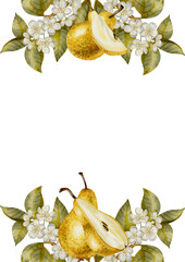 Watercolor frame with ripe pears andwith branches with flowers and leaves. Perfect for product logos, market posters, food packaging, textile patterns, and harvest-themed, Wedding invitations, menu