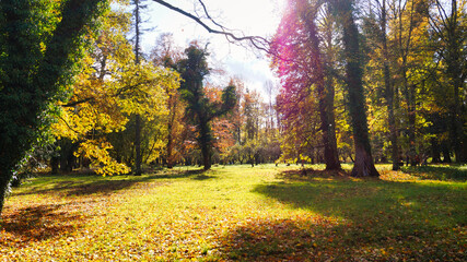 Fototapety na wymiar - Fototapeta24.pl