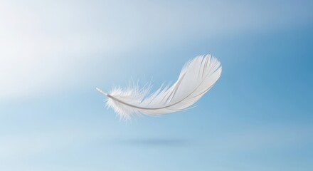 Obraz premium A single white feather floating in the air against a soft blue and white gradient background
