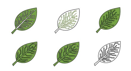 High Quality Leaf Texture Showing Natural Veins and Organic Pattern Detail