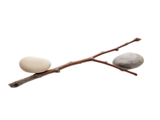 Minimalist still life with twig and stones on transparent background