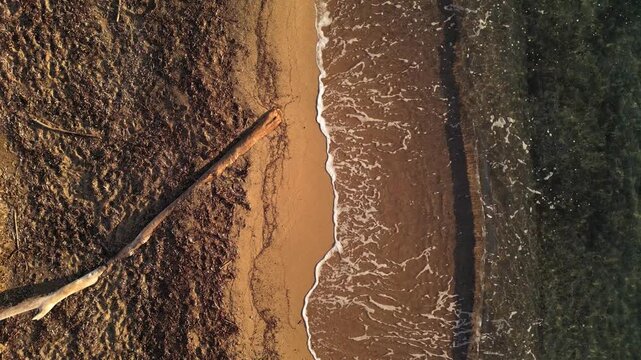 Aerial drone view of sandy Mediterranean beach with wooden log lying on the shore, peaceful coastal landscape with gentle sea waves and natural textures in daylight