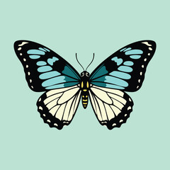 Cute Queen Alexandras Birdwing — Endemic Wildlife of Papua New Guinea | Flat Vector Illustration