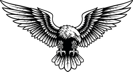 Symmetrical Bald Eagle with Spread Wings Illustration