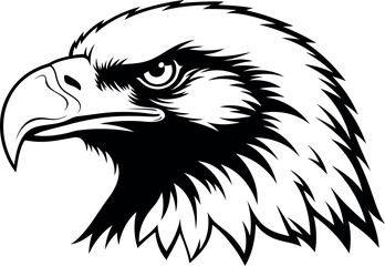 Fierce Eagle Head Illustration