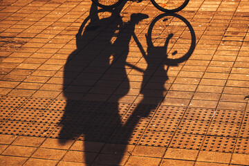 Shadow of a cyclist and bicycle cast on concrete sidewalk during warm autumn sunset.