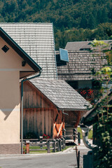 Charming Slovenian alpine village with distinctive roof architecture, reflecting the cultural heritage of mountain life.