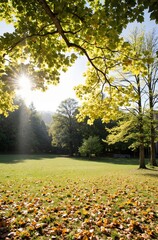 Obraz premium autumn in the park